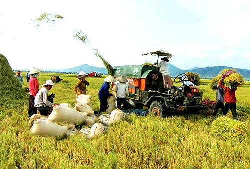 Kết quả hình ảnh cho Vấn đề lợi ích kinh tế của nông dân trong thời kỳ công nghiệp hóa, hiện đại hóa ở Việt Nam hiện nay