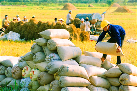 Xuất khẩu nông sản Việt Nam