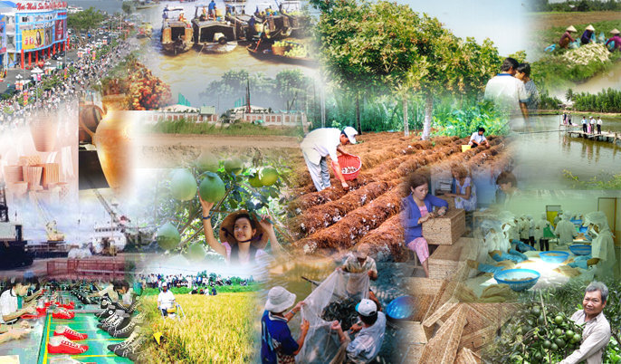 Syntropic AgroForestry Mô hình Nông  Lâm kết hợp với thuyết thuận theo tự  nhiên  Sở Khoa học và Công nghệ Thành phố Hồ Chí Minh