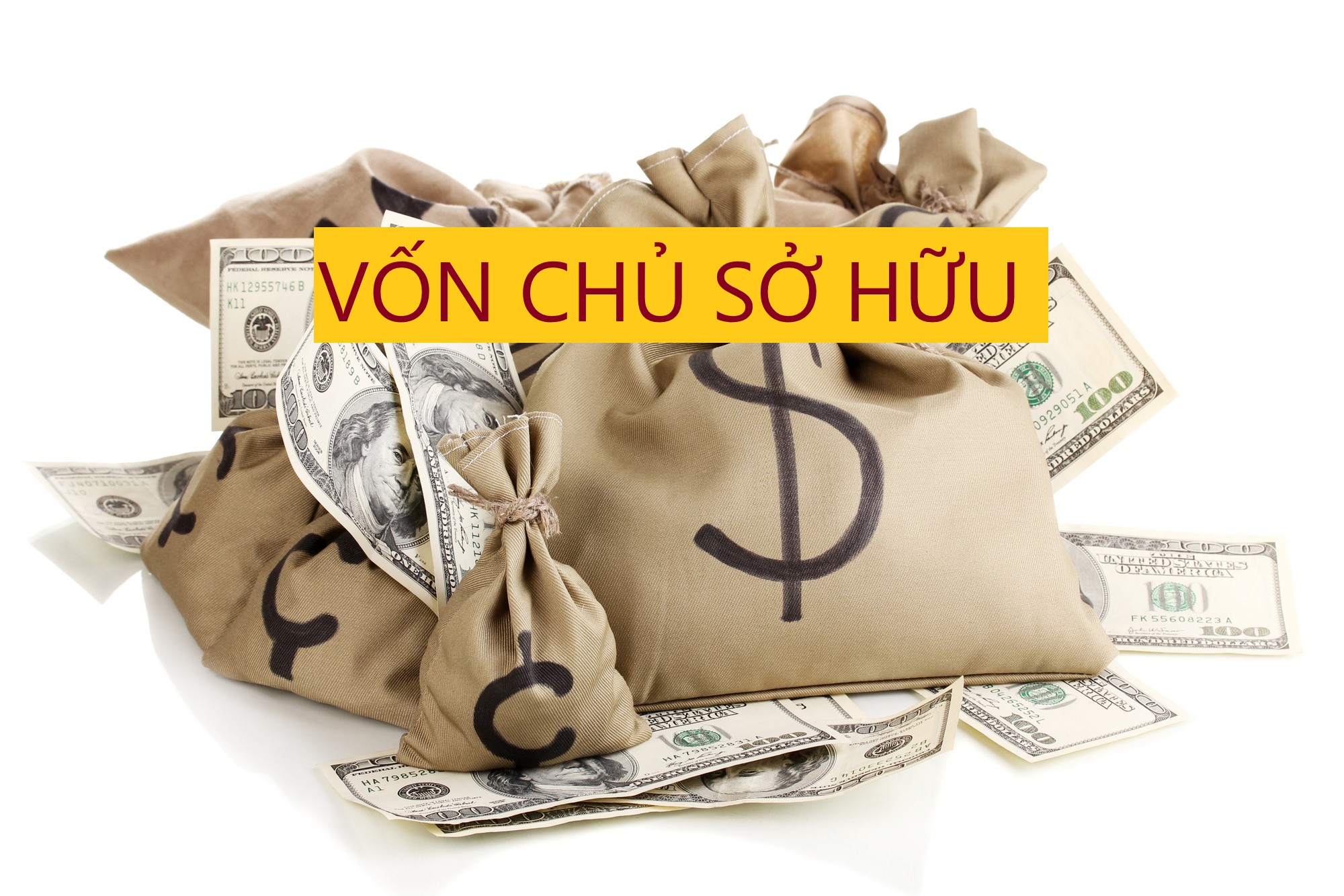 Vai trò của vốn chủ sở hữu trong hoạt động ngân hàng thương mại - Viết Thuê Luận Văn Thạc Sĩ